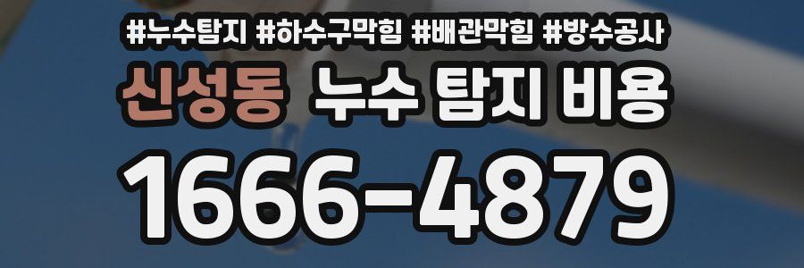 신성동 누수 탐지 비용