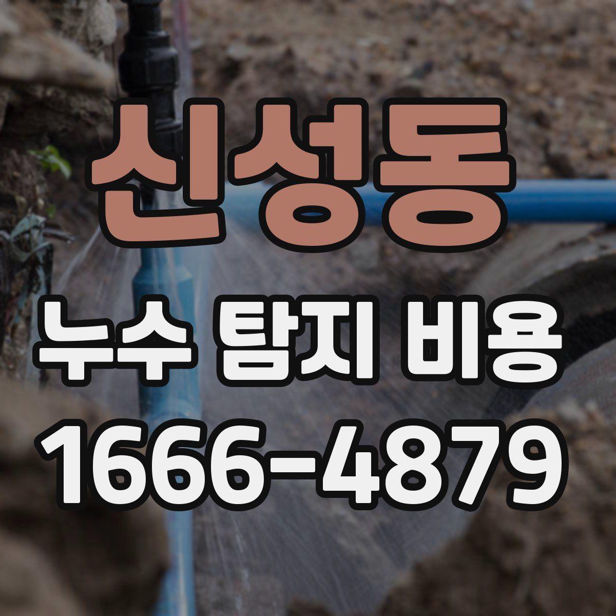 신성동 누수 탐지 비용