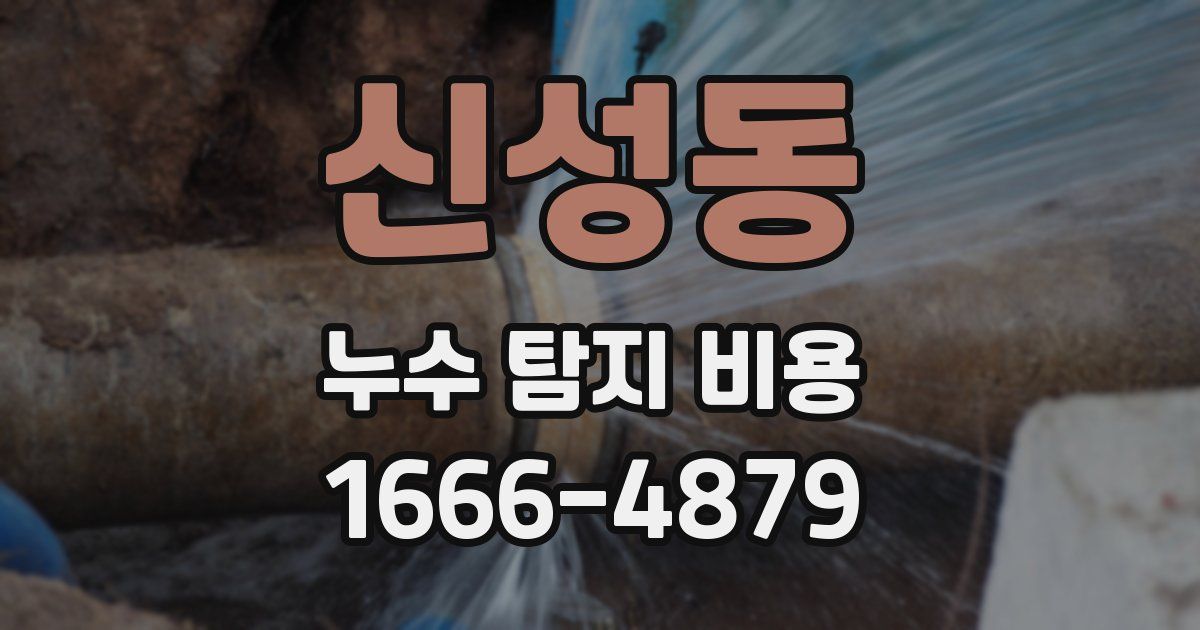 신성동 누수 탐지 비용
