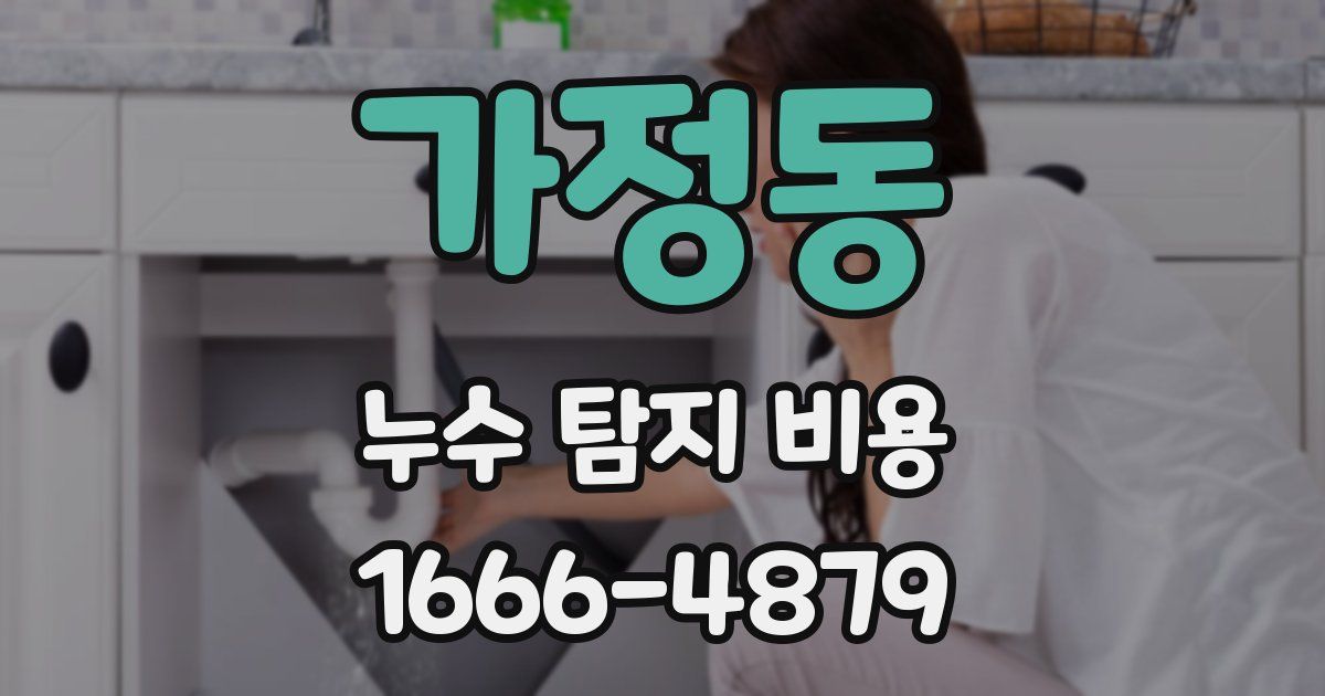 가정동 누수 탐지 비용