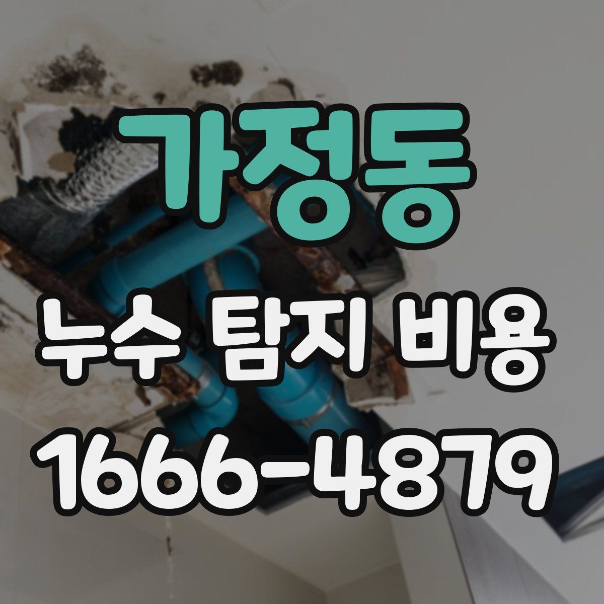 가정동 누수 탐지 비용