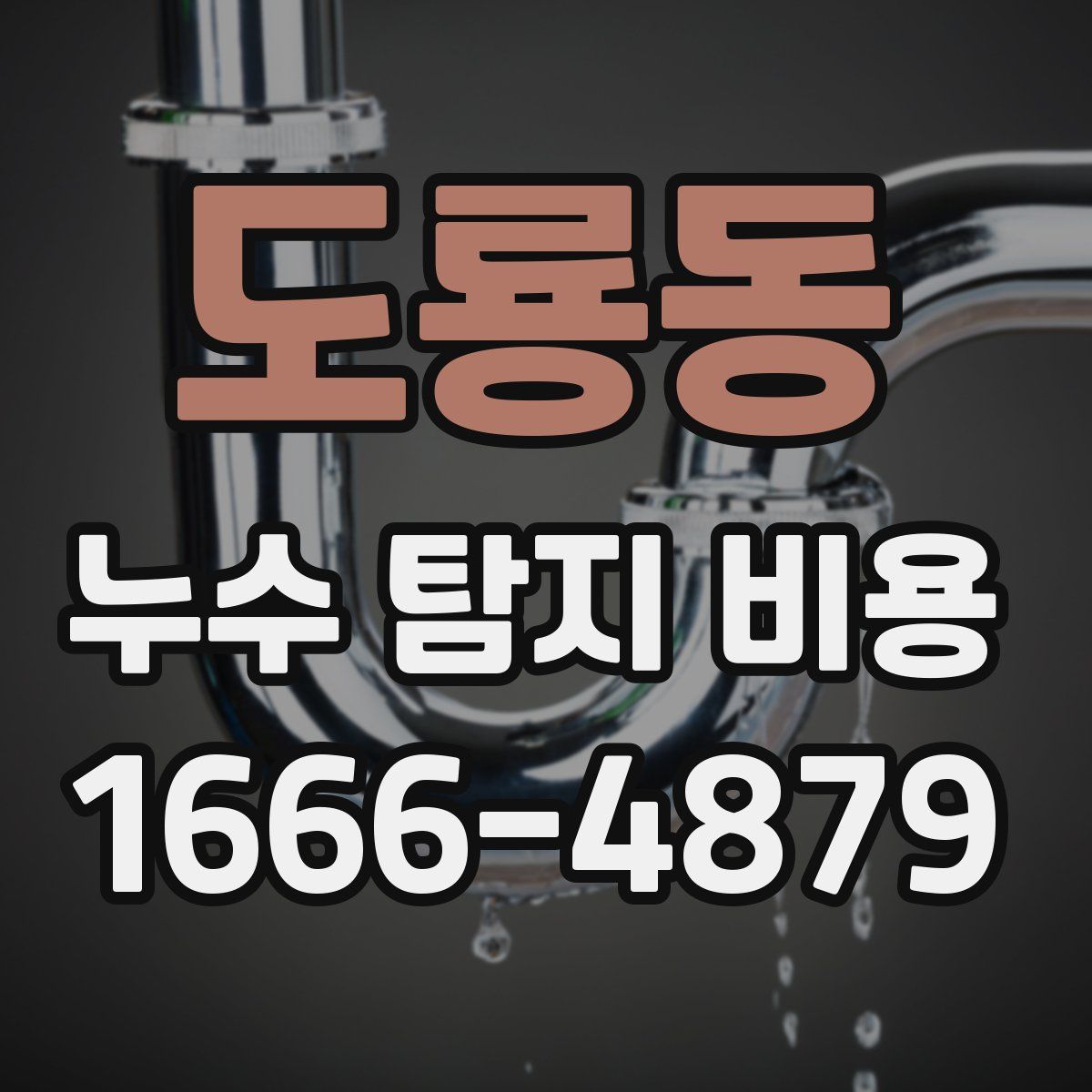 도룡동 누수 탐지 비용
