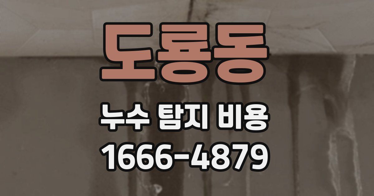 도룡동 누수 탐지 비용