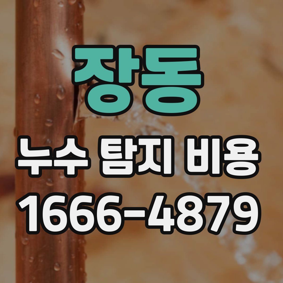장동 누수 탐지 비용