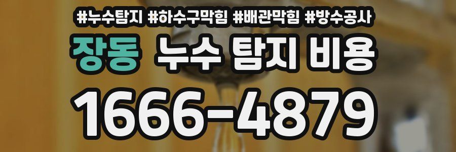 장동 누수 탐지 비용