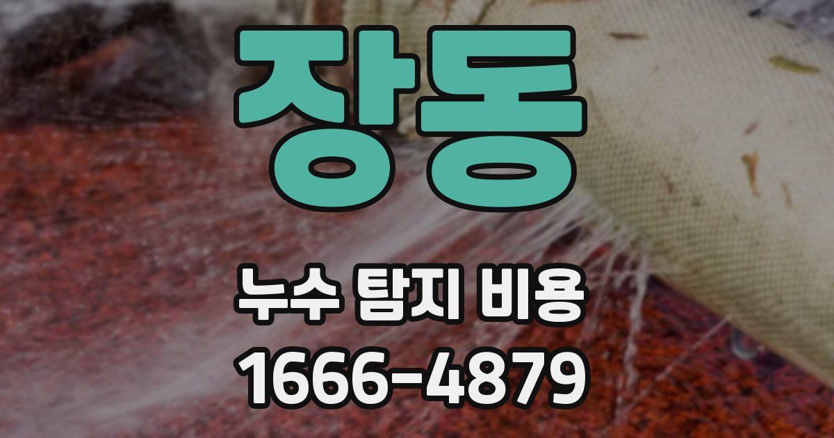 장동 누수 탐지 비용
