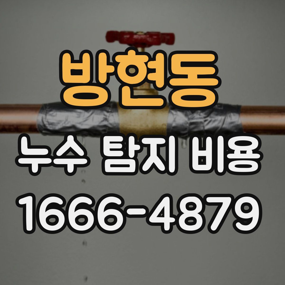 방현동 누수 탐지 비용