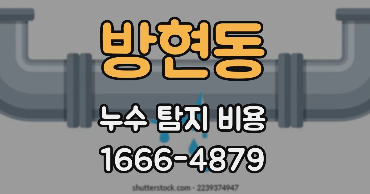 방현동 누수 탐지 비용