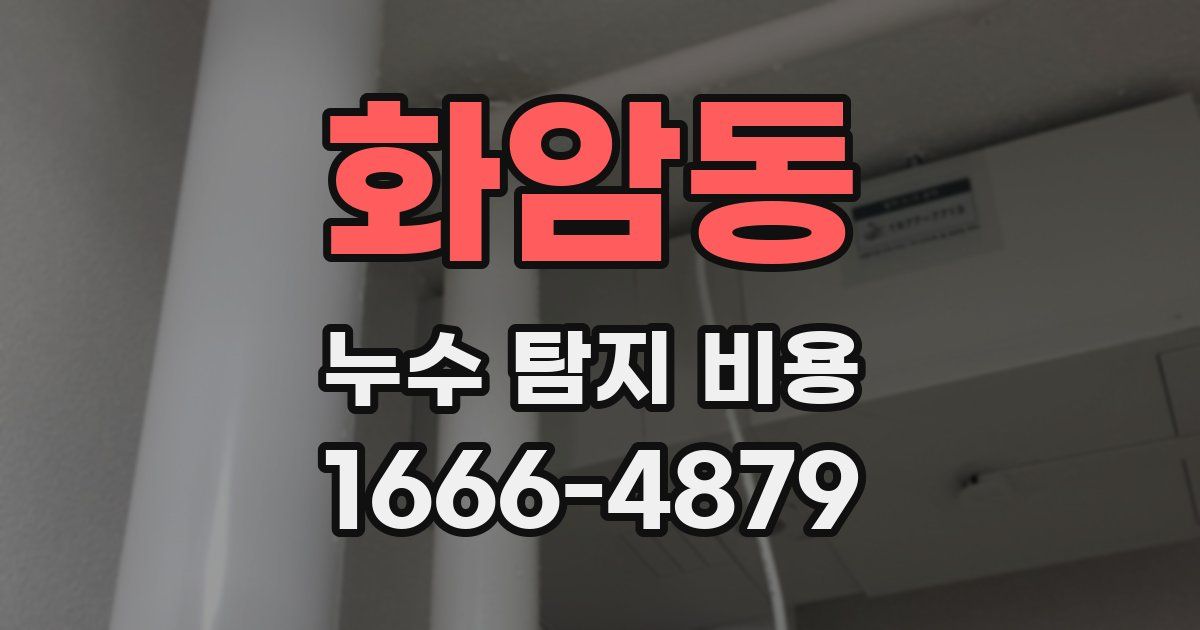 화암동 누수 탐지 비용