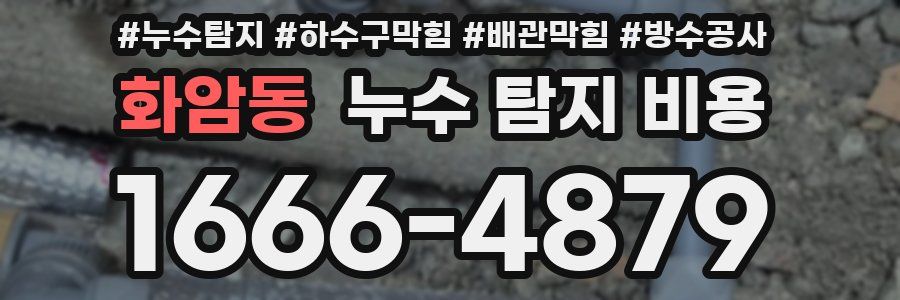 화암동 누수 탐지 비용