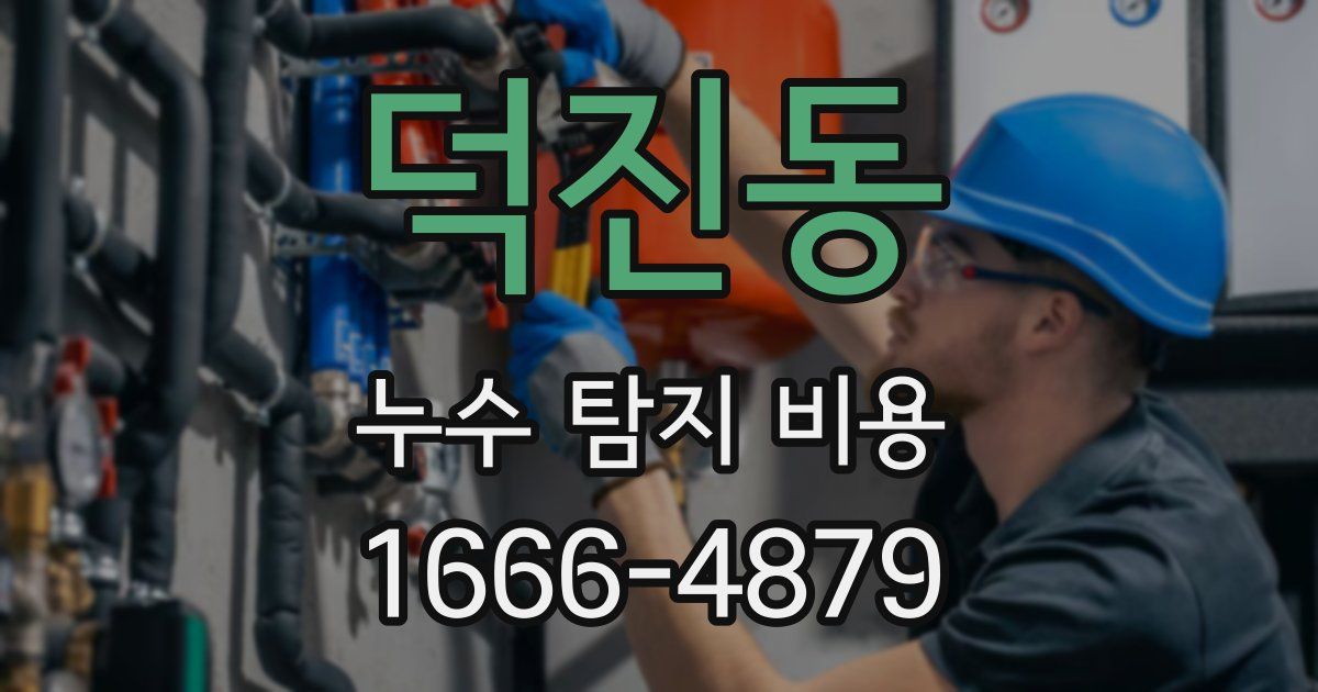 덕진동 누수 탐지 비용