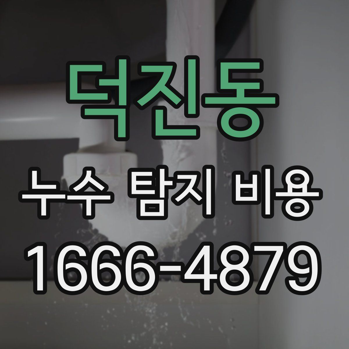 덕진동 누수 탐지 비용