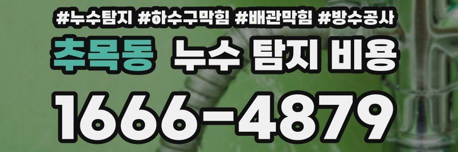 추목동 누수 탐지 비용