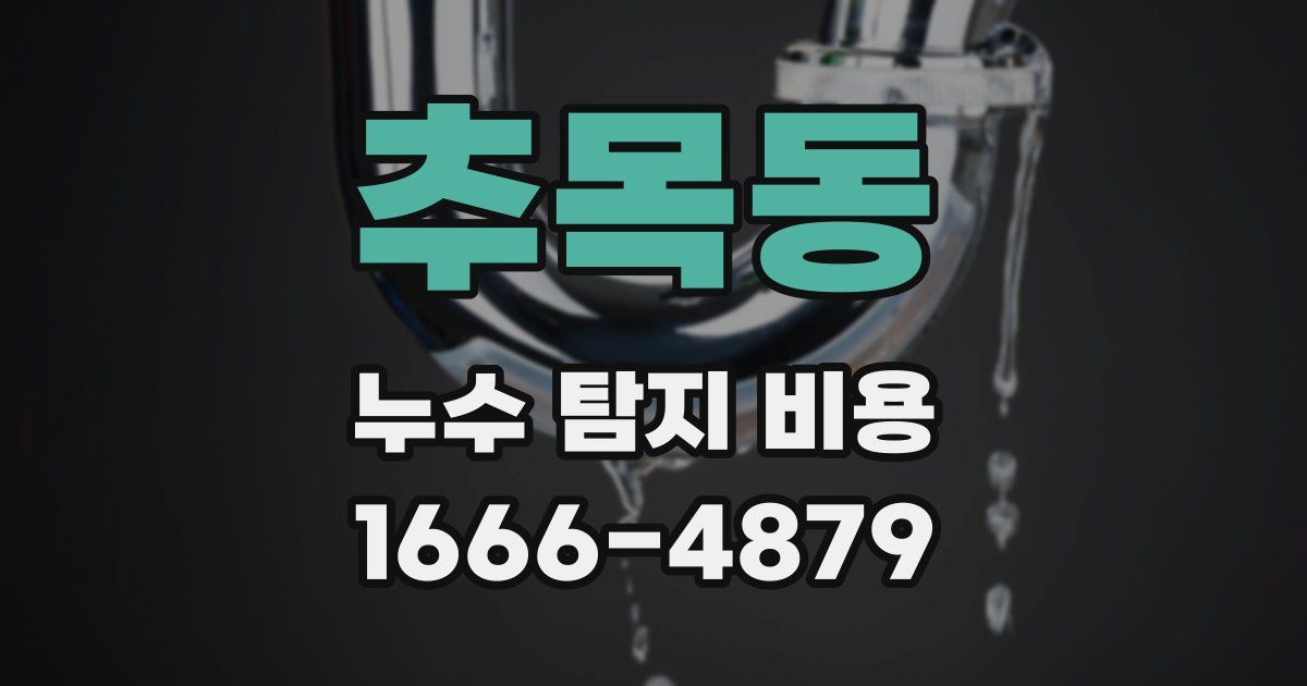 추목동 누수 탐지 비용