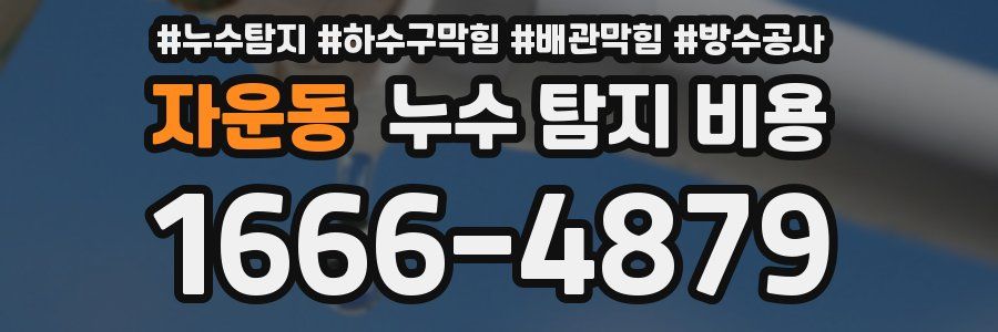 자운동 누수 탐지 비용