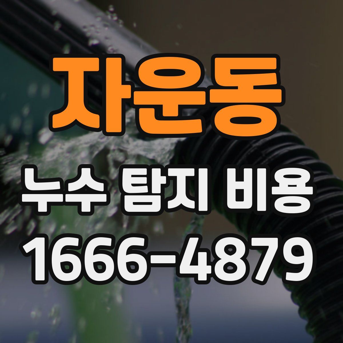 자운동 누수 탐지 비용