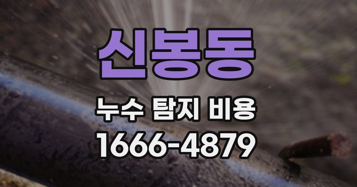 신봉동 누수 탐지 비용