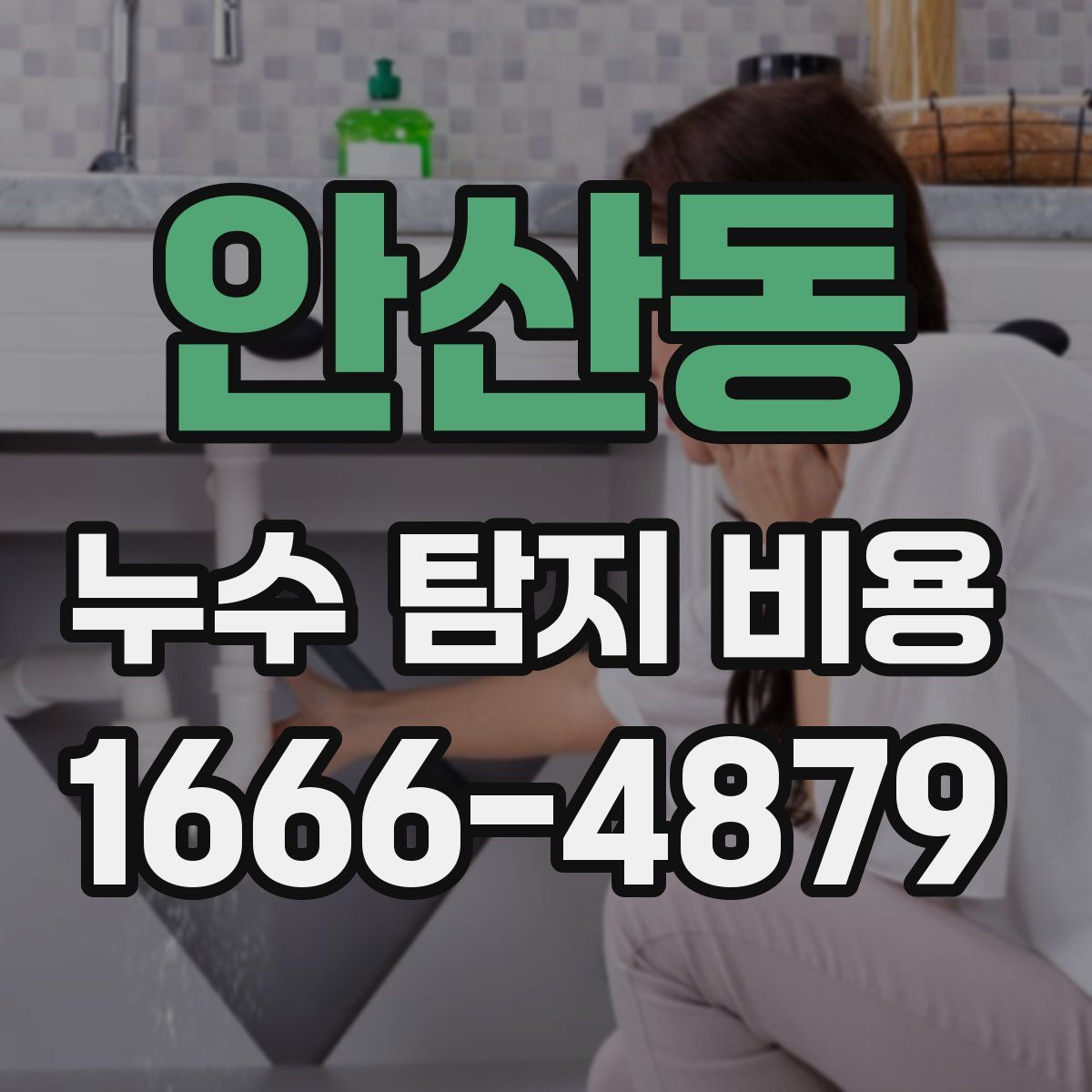 안산동 누수 탐지 비용