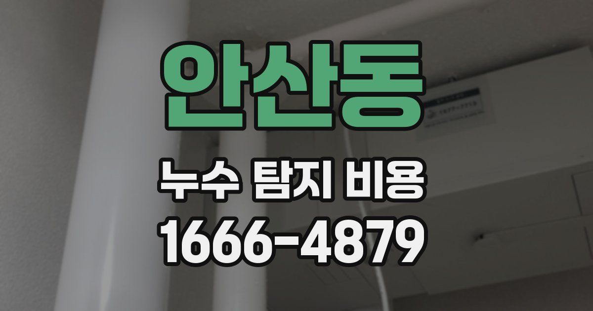 안산동 누수 탐지 비용