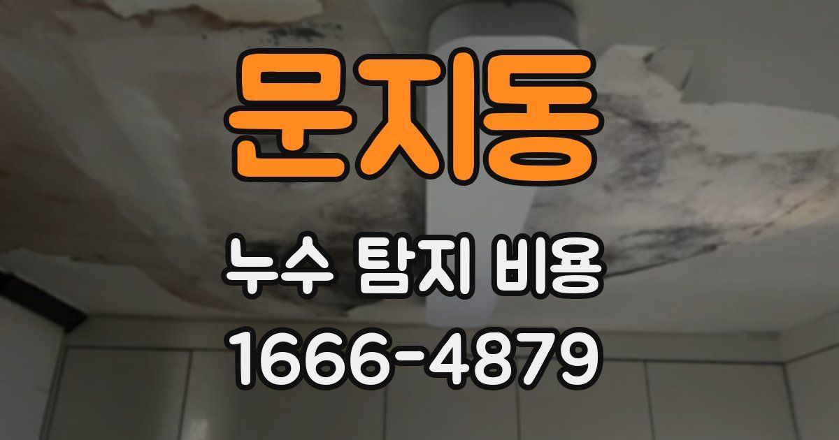 문지동 누수 탐지 비용