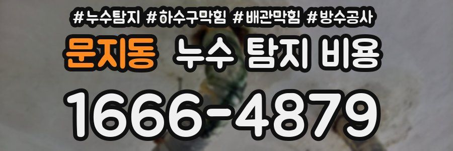 문지동 누수 탐지 비용