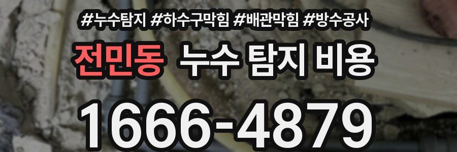 전민동 누수 탐지 비용