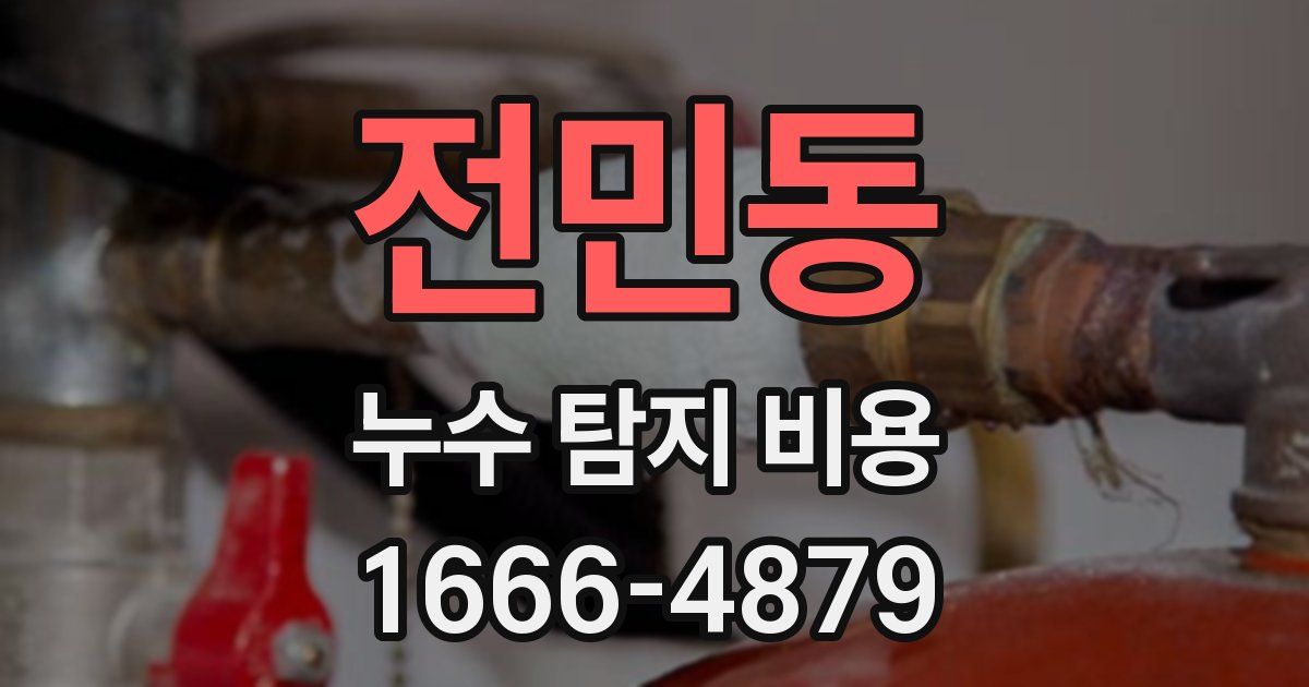 전민동 누수 탐지 비용