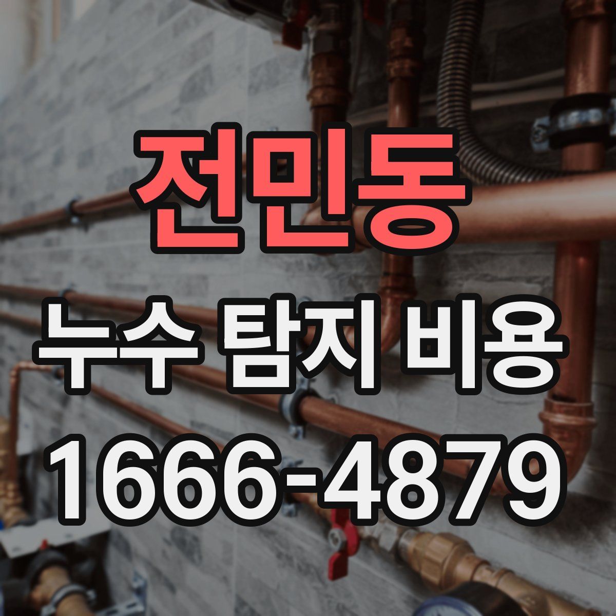 전민동 누수 탐지 비용