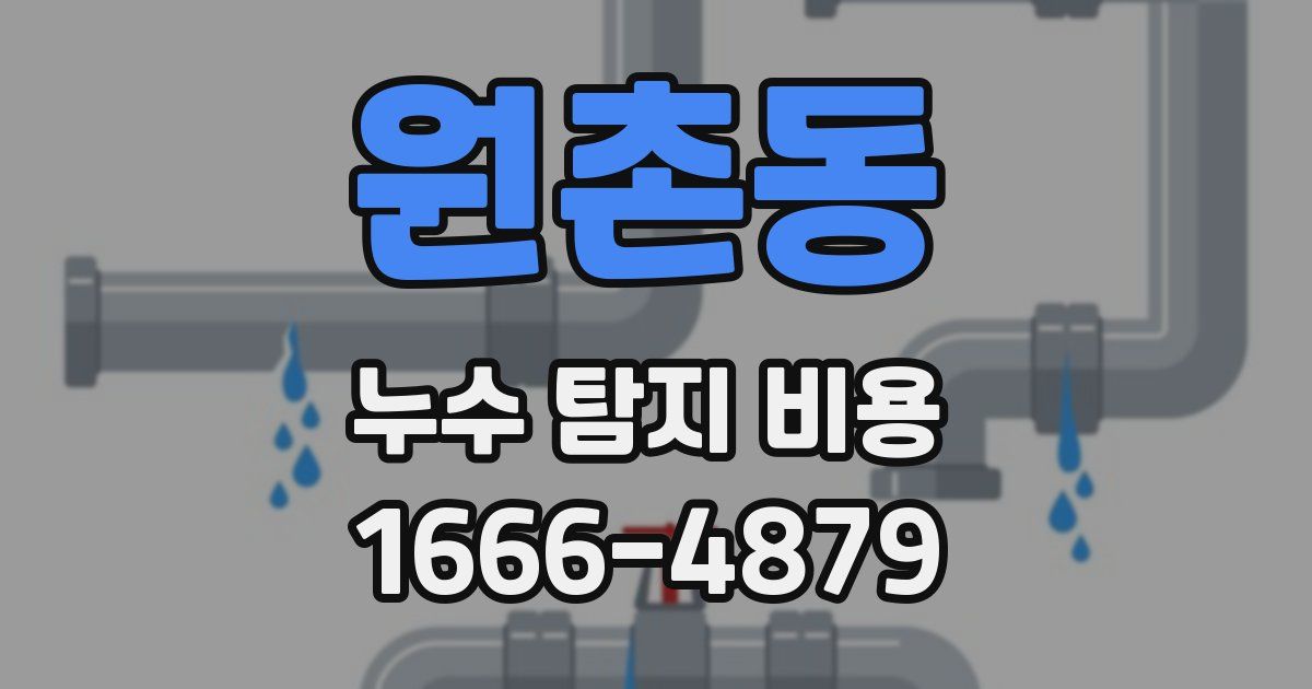 원촌동 누수 탐지 비용