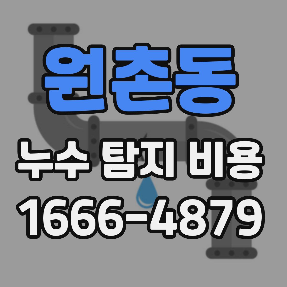 원촌동 누수 탐지 비용