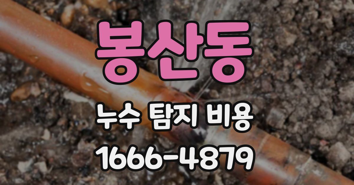 봉산동 누수 탐지 비용