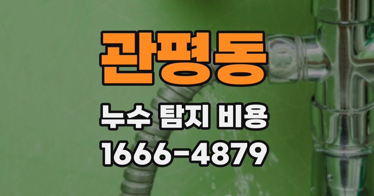 관평동 누수 탐지 비용