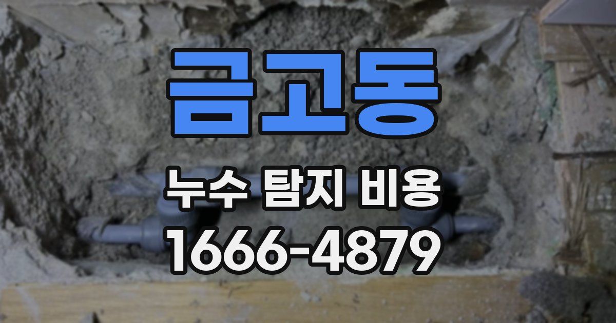 금고동 누수 탐지 비용