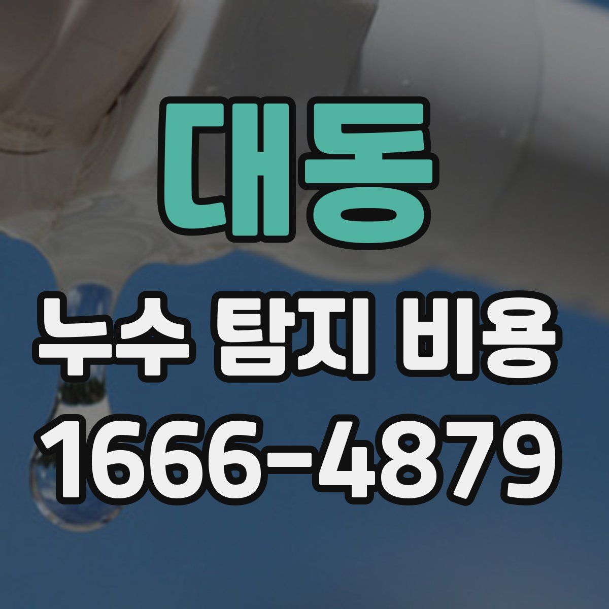 대동 누수 탐지 비용