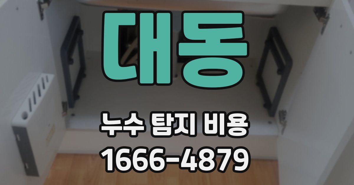 대동 누수 탐지 비용