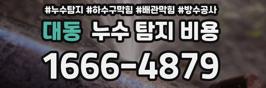 대동 누수 탐지 비용