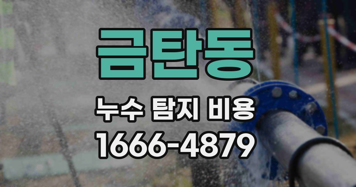 금탄동 누수 탐지 비용