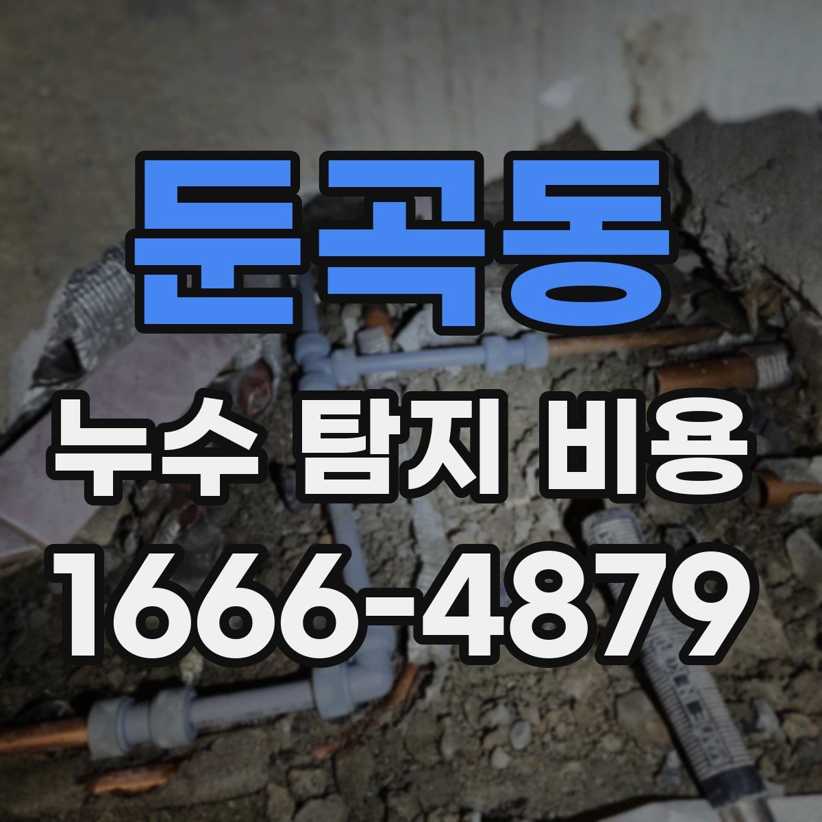 둔곡동 누수 탐지 비용