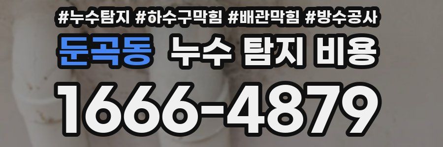 둔곡동 누수 탐지 비용