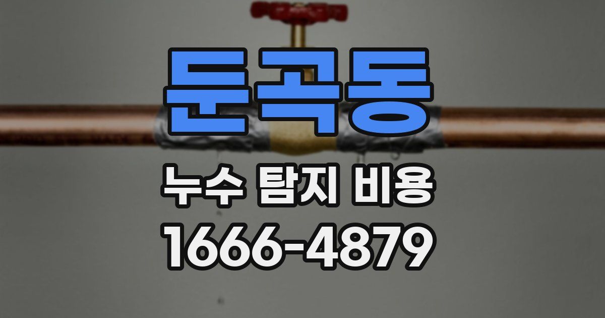 둔곡동 누수 탐지 비용