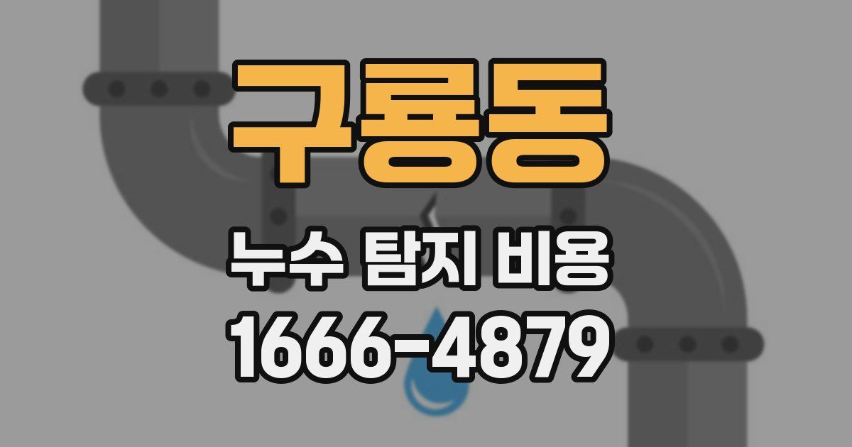 구룡동 누수 탐지 비용