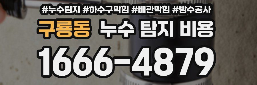 구룡동 누수 탐지 비용