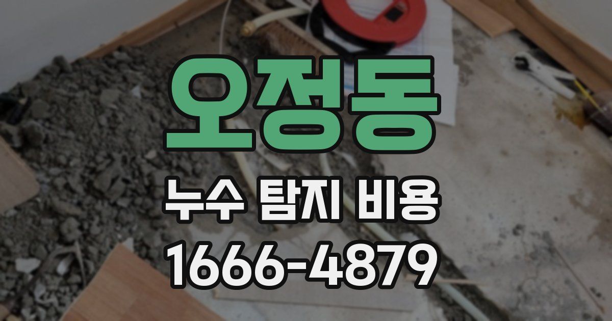 오정동 누수 탐지 비용