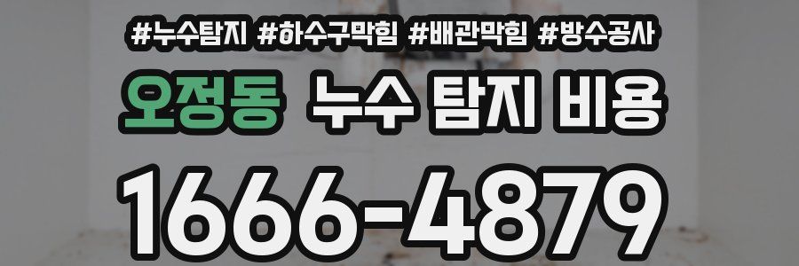 오정동 누수 탐지 비용