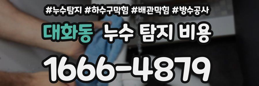 대화동 누수 탐지 비용