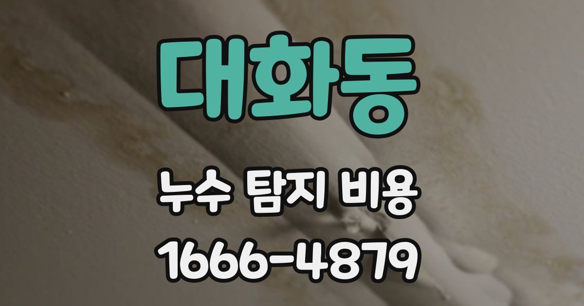 대화동 누수 탐지 비용