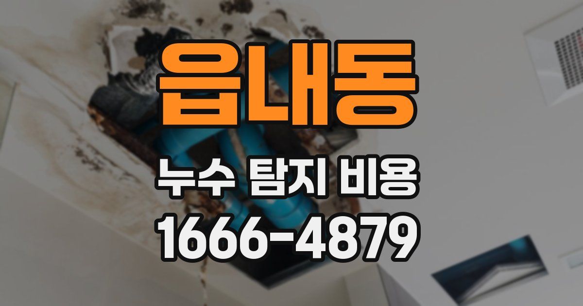 읍내동 누수 탐지 비용