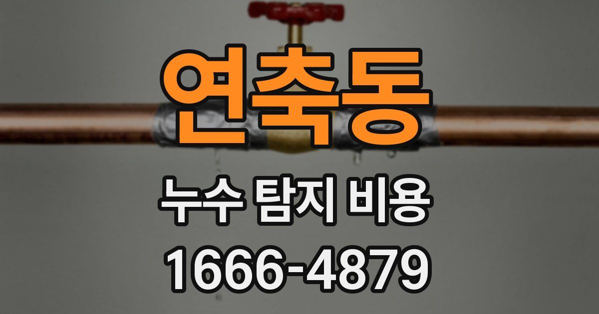 연축동 누수 탐지 비용
