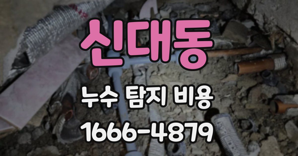 신대동 누수 탐지 비용