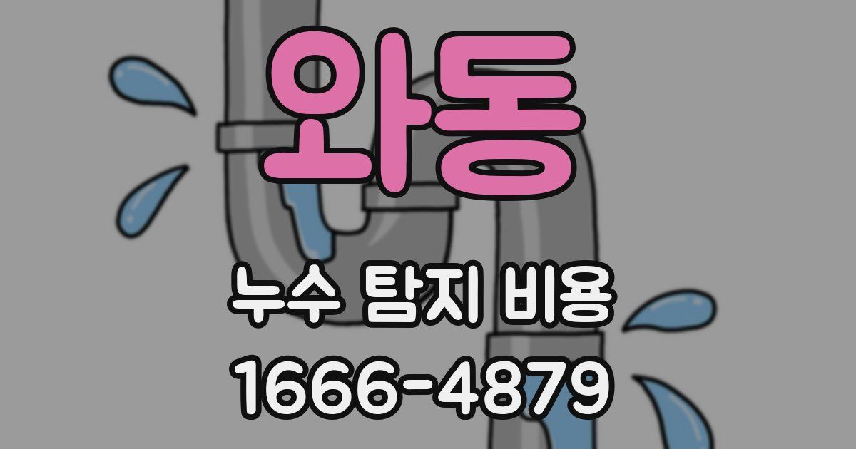 와동 누수 탐지 비용